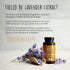 Happy Healthy Hippie Stress Relief Supplement - Lavender Pills for Calmness, Quick Acting, Herbal, Vegan, 60 Pills