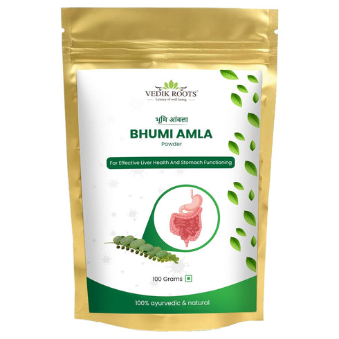 Organic Bhumi Amla Powder - Rich in Antioxidant Vitamin C - Supports Healthy Immune Function 100Gm