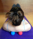 Massage Lacrosse Balls for Myofascial Release, Trigger Point Therapy, Set of 2 Firm Balls (Blue and Red)