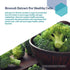 Life Extension Estrogen for Women - Healthy Estrogen Metabolism Supplement - Relieves Menopause Discomforts - 30