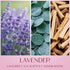 Set 2 Pack Scented Candles for Women, Soy Candles for Home Scented, Candle Gift with Lavender & Vanilla Scents