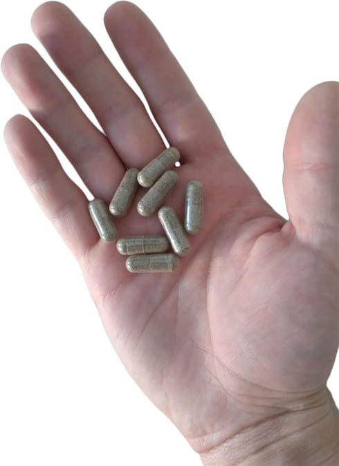 Ion Supplements LLC 100% (180 Organic Grass Fed Beef Liver Capsules Caps) - Pasture Raised - Iron, Vitamin A, B