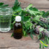 Motherwort Herb C/S | Cut & Sifted | Leonurus Cardiaca | Wildcrafted | 4oz