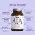 PURE SYNERGY Stress Remedy Supplement with Ashwagandha | Organic Adaptogen Support from Rhodiola, Lemon Balm, 60