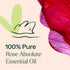 Plant Therapy Rose Absolute Essential Oil, 100% Pure, 10 mL (1/3 oz), Natural Aromatherapy