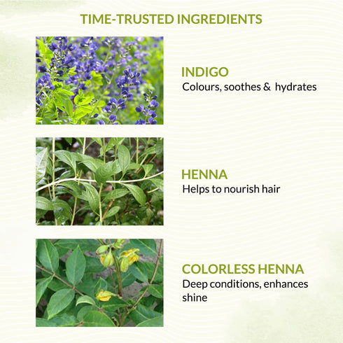 Indus Valley Bio Organic Natural Henna Hair Color, Chocolate 100gm | 100% Gray Coverage, Long Lasting Vegan Dye