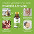 Hemani 30ml (1 Oz) 100% Camphor Oil Fl - Pure Steam Distilled | Cinnamomum Camphora | Natural Aromatic Oil for Massage