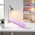 Junfamilee 7 Pink Pill Organizer Box Transparent Grids Pill Storage Box Clear Tablets Container Excellent Personal Pill