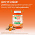 Qunol Zero Sugar Turmeric Gummies, Gummy with 500mg Turmeric Curcumin, Vegetarian, Gluten Free Joint Support