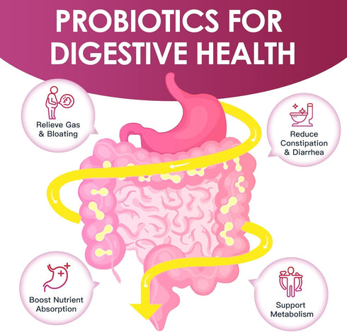 Probiotics for Women Digestive Health, Vaginal probiotics 120 Billion CFU 31 Strains with Digestive Enzymes & Prebiotics & D Mannose & Cranberry for Urinary Tract, 90 Capsules