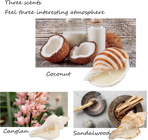 Handmade Natural Scented Candles - Conch Shell Soy Wax Candles Scented with Essential Oils, Home Scented Candles