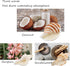 Handmade Natural Scented Candles - Conch Shell Soy Wax Candles Scented with Essential Oils, Home Scented Candles