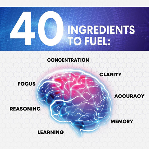 Brain Supplements for Memory and Focus, Nootropic Support for Concentration, 60 Capsules