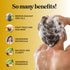 Lemon Sage Shampoo for Oily Hair - Sulfate Free Clarifying Shampoo with Keratin and Tea Tree Oil