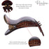 Parcelona French Simply Bear Paw Medium 3” Set of 2 Celluloid Hair Claw Clips for Women and Girls - Black-Tortoise Shell