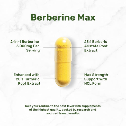Berberine Max Supplement with Turmeric, 240 Veggie Capsules, 5,000mg Per Serving, 97% Pure Berberine HCL