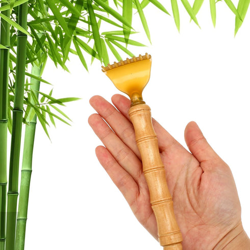 Ptwola Back Scratcher Classic Portable Extendable Bamboo Back Scratcher for Men Women Telescoping Body scratchers