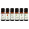 Plant Therapy Breathe Easy Essential Oil Set of 6 Bottles 10 mL