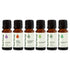 Plant Therapy Breathe Easy Essential Oil Set of 6 Bottles 10 mL