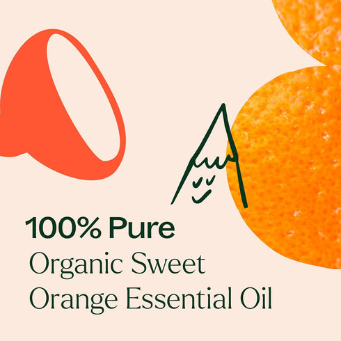 Plant Therapy Sweet Orange Organic Essential Oil 100% Pure, 30 mL (1 oz), USDA Certified Organic
