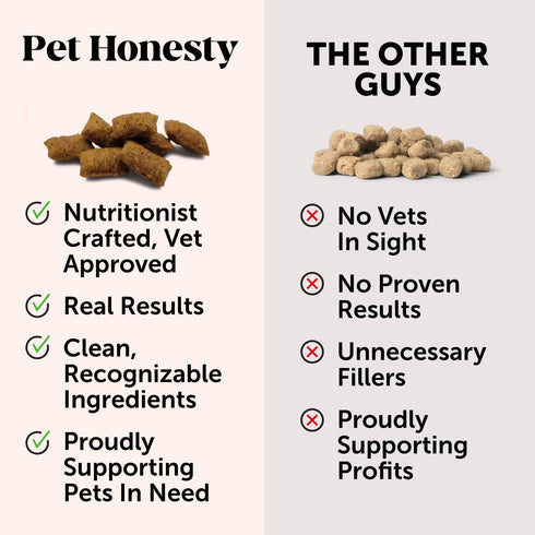Pet Honesty Cat Immune Support Lysine - 30 Day Supply for Cat Allergy Relief with Omega 3s & Antioxidants
