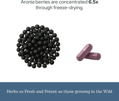 Eclectic Institute Organic Aronia Berry Capsules | 90 CT (450 mg) | Supports Heart, Immune, Digestive Health