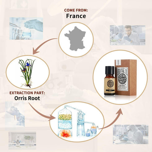 Orris Essential Oil Natural Organic Pure Orris Oil for Skin Body Hair Care,Diffuser, Candle,Soap,Making, DIY,Massage Aroma 0.34 Fl Oz (10ml)