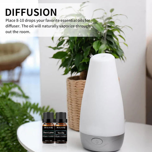 Set 2 Pack, 100% Eucalyptus and Vanilla Essential Oil Pure Diffuser Oil for Massage, Soap Making