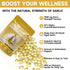 SpenHerb 7500mg Immune 300 Softgels,1 Aged Garlic Extract Softgels, Odorless Allium Sativum Antioxidant Supplement