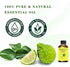 Bergamot Essential Oil 4 Fl Oz - Pure Aromatherapy Oil for Diffuser, Laundry, Massage, Hair, DIY & Skin Care 120 ml