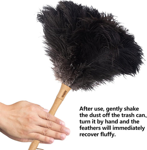 Ostrich Feather Duster, 16 Inch Black Genuine Ostrich Feathers with Wood Handle, Eco-Friendly Cleaning Duster