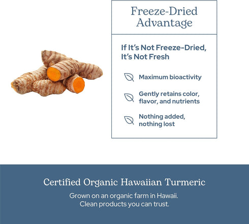 ECLECTIC INSTITUTE Raw Freeze-Dried Turmeric, 90 CT (395 mg), US Grown, Vegetarian, Non-GMO