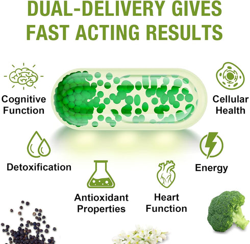 800 MG Liposomal Sulforaphane, Full-Spectrum Broccoli Extract, Antioxidant & Liver Supplement, 120 Softgels