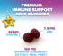 Children's Daily Immune Support Gummies, Real Elderberry + Vitamin C & Zinc for Healthy Immune System, 120 Gummies