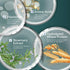 SH-RD Hair Essential Kit for Travel, Nutra-Therapy Shampoo, Conditioner, Shine Serum, Protein Cream