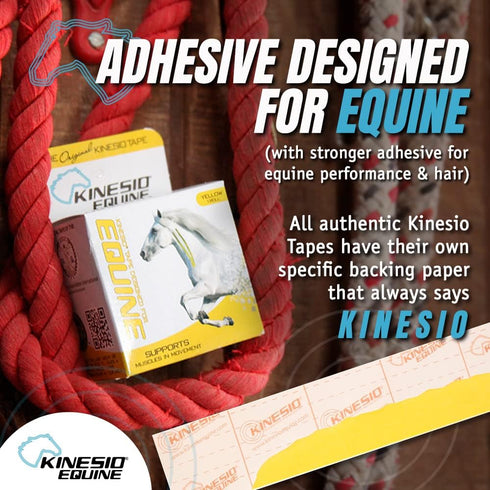 Kinesio Equine Tape - Tex Gold FP Horse Tape, 2”x 16’ Roll, Made Specifically for Horses