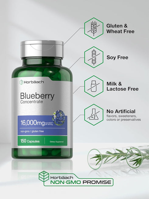 Horbaach Blueberry Extract Supplement, 150 Capsules, Blueberry Concentrate, Non-GMO, Gluten Free