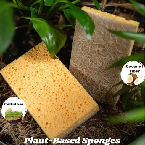 THE GREATER PLANET Natural Kitchen Sponges - Eco-Friendly Biodegradable Organic Cleaning Sponges, 10 Pack