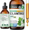 Organic Cilantro Supplement, 4 Fl.Oz., Natural Body Cleansing & Detox Liquid, Vegan, Alcohol-Free Drops