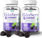 Elderberry Gummies with Vitamin C and Zinc, Immune Booster for Adults and Kids, Vegan Natural Ingredients, 120 Gummies