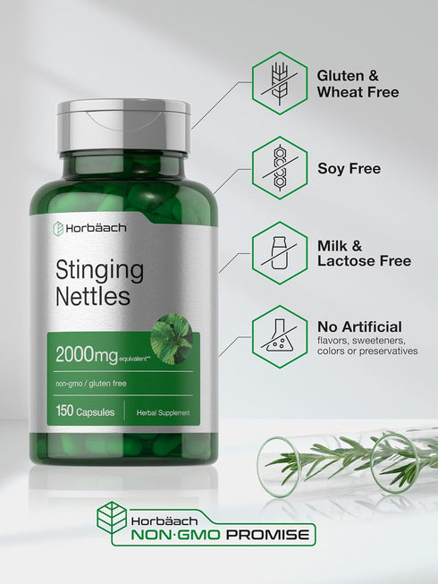 Horbaach Stinging Nettle Capsules, 2000mg, 150 Count, Herbal Leaf Extract Supplement, Non-GMO, Gluten Free