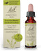 Bach Original Flower Remedies, Chestnut Bud for Learning from Mistakes, Natural Homeopathic Essence, 10mL