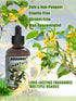Osmanthus Essential Oil Floral Aromatherapy Large Bottle Oils Spray Laundry Diffusers Refill Oil 4 Fl Oz
