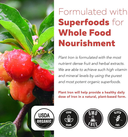 Organic Iron Whole Food Iron Supplement & Cofactors, 25 mg Elemental Iron, 90 Capsules, Blood Health Support