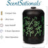 Scentsationals Eclectic Diffuser Collection 100ML - Scented Essential Oils for Electric Fragrance Home Air Freshener