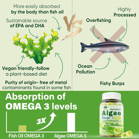 Vegan Omega 3 Supplement Gummies, 2000mg Algae Omega 3 with 640mg DHA & 290mg EPA, Sugar Free, 60 Count