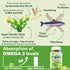 Vegan Omega 3 Supplement Gummies, 2000mg Algae Omega 3 with 640mg DHA & 290mg EPA, Sugar Free, 60 Count