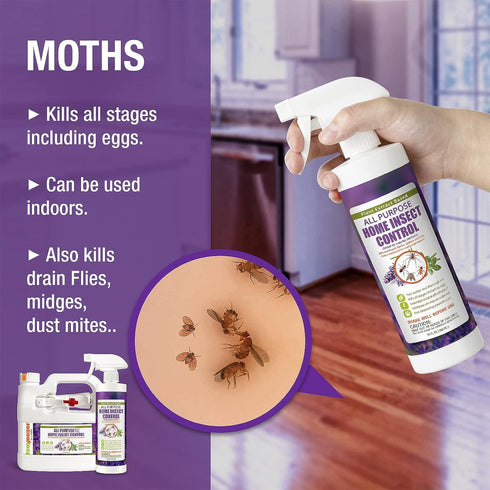EcoVenger by EcoRaider All Purpose Insect Control, 16 OZ, Fast Kill, Non-Toxic, Fleas, Fruit Flies, Roaches