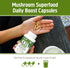 OM MUSHROOM SUPERFOOD Reishi Mushroom Capsules, 90 Count, Organic Adaptogen for Stress Relief and Immune Health