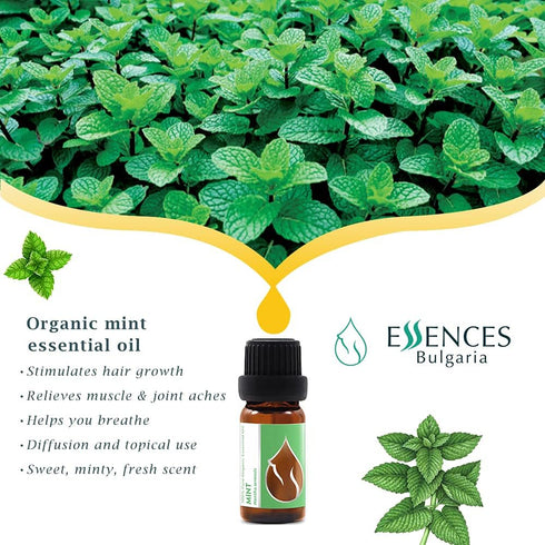 Essences Bulgaria Organic Mint Essential Oil - 1/3 Fl Oz (10ml) - 100% Pure & Natural Therapeutic Grade